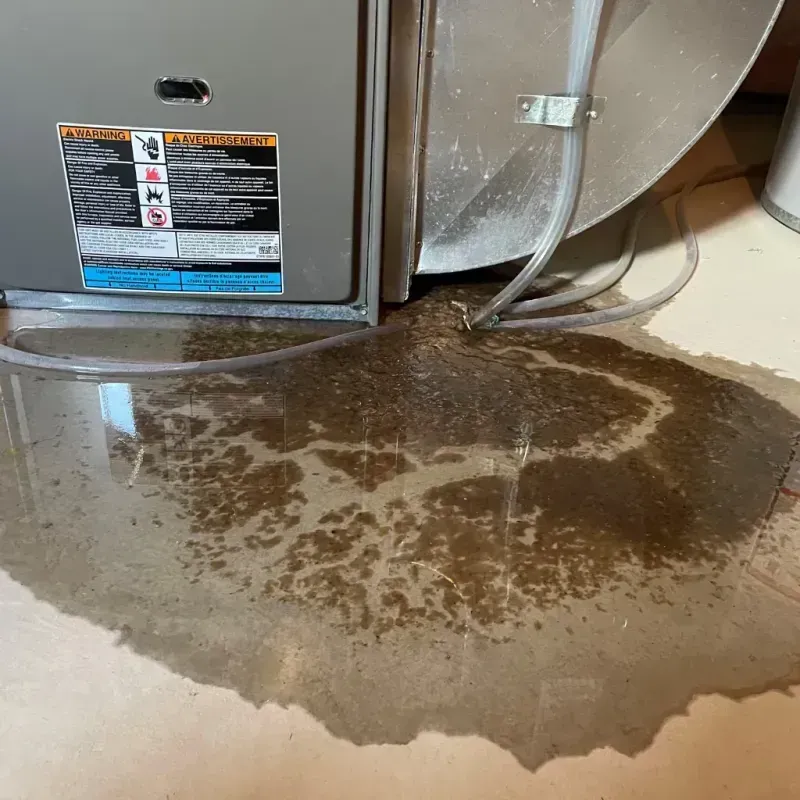 Appliance Leak Cleanup in Rome, ME